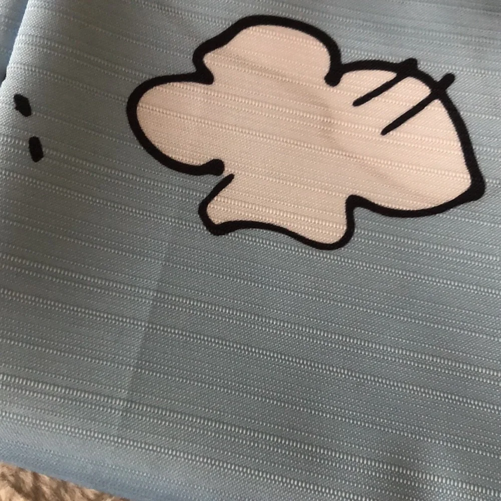 Peanuts Characters Shower Curtain with Snoopy & Charlie Brown